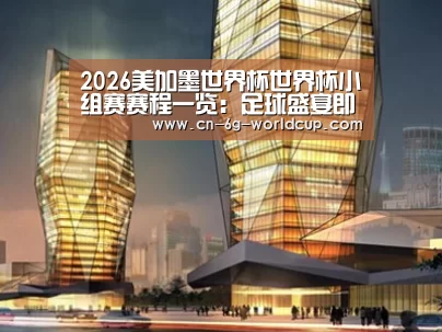 案例展示三