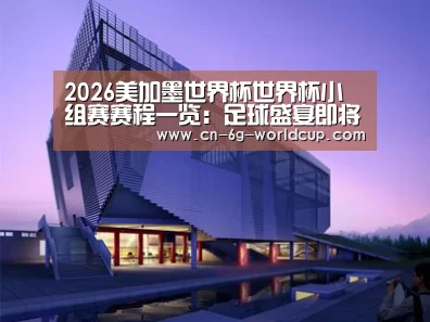 案例展示六